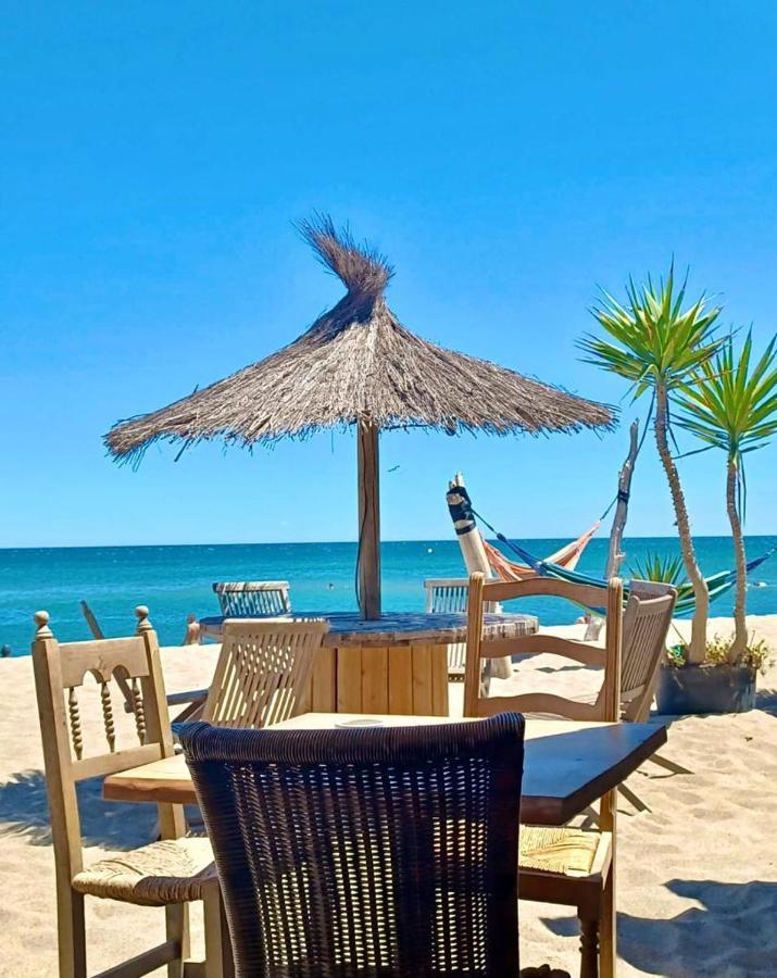T3 Grande Terrasse Bord De Mer Le Barcares Ngoại thất bức ảnh